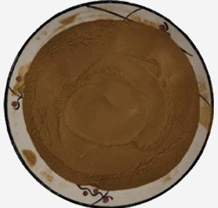 Ginkgo Biloba Extract